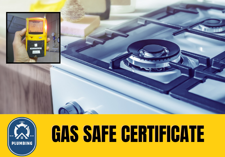 gas safe certificate Chestfield