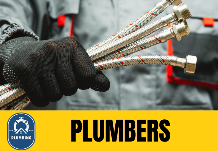  plumber Herne Bay